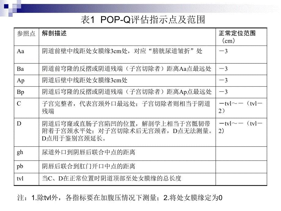 POP-Q评估体系教程文件_第5页