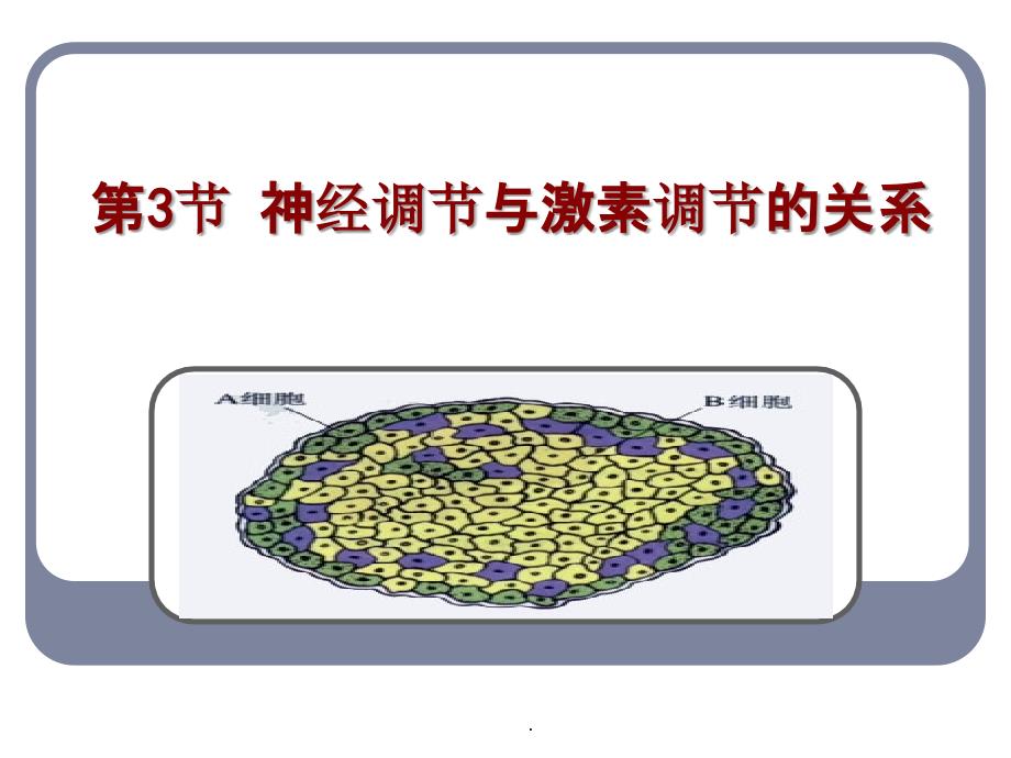 人教版教学第三节神经调节与体液调节的关系ppt课件_第1页