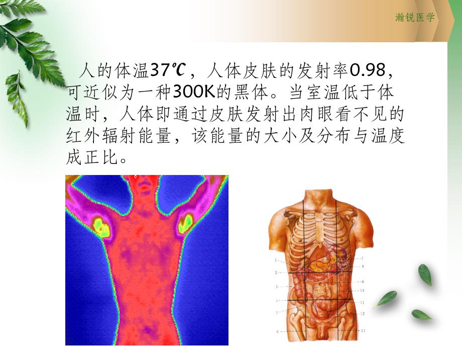 热成像技术在体检中心ppt课件_第4页