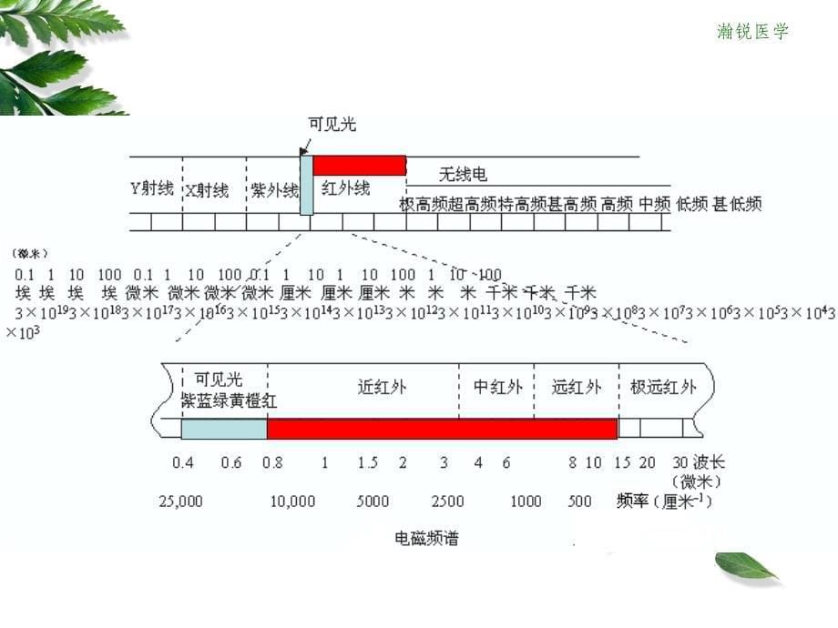 热成像技术在体检中心ppt课件_第5页