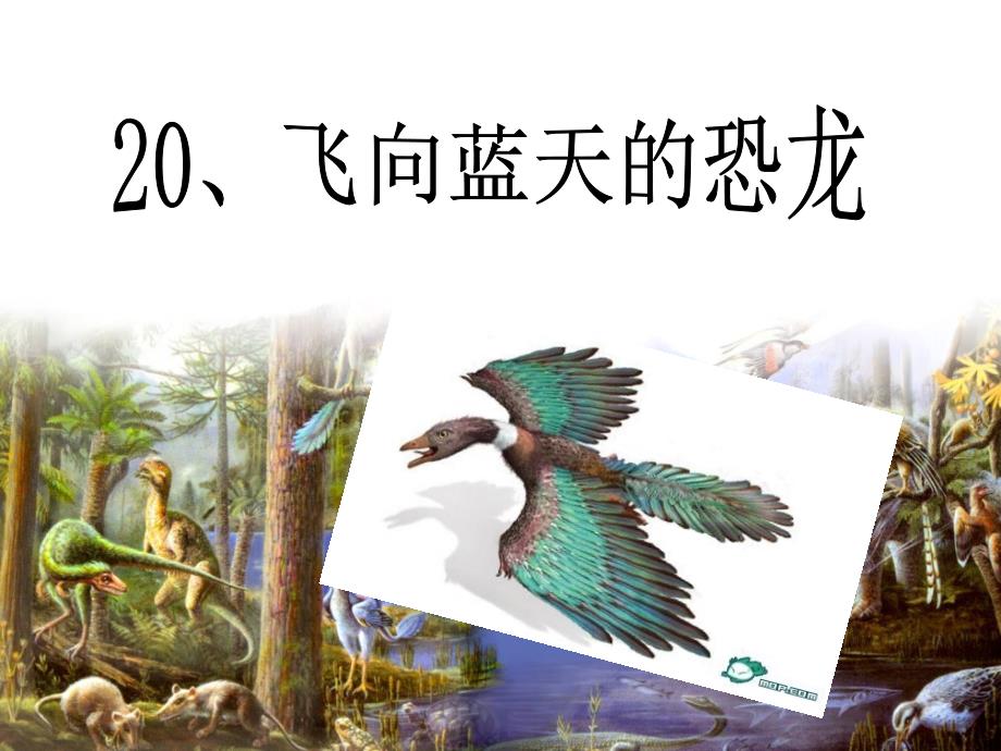 20、飞向蓝天的恐龙(完美版)学习资料_第1页