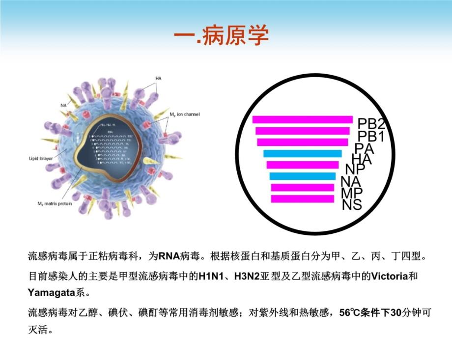 2018年流行性感冒诊疗方案及流程备课讲稿_第3页