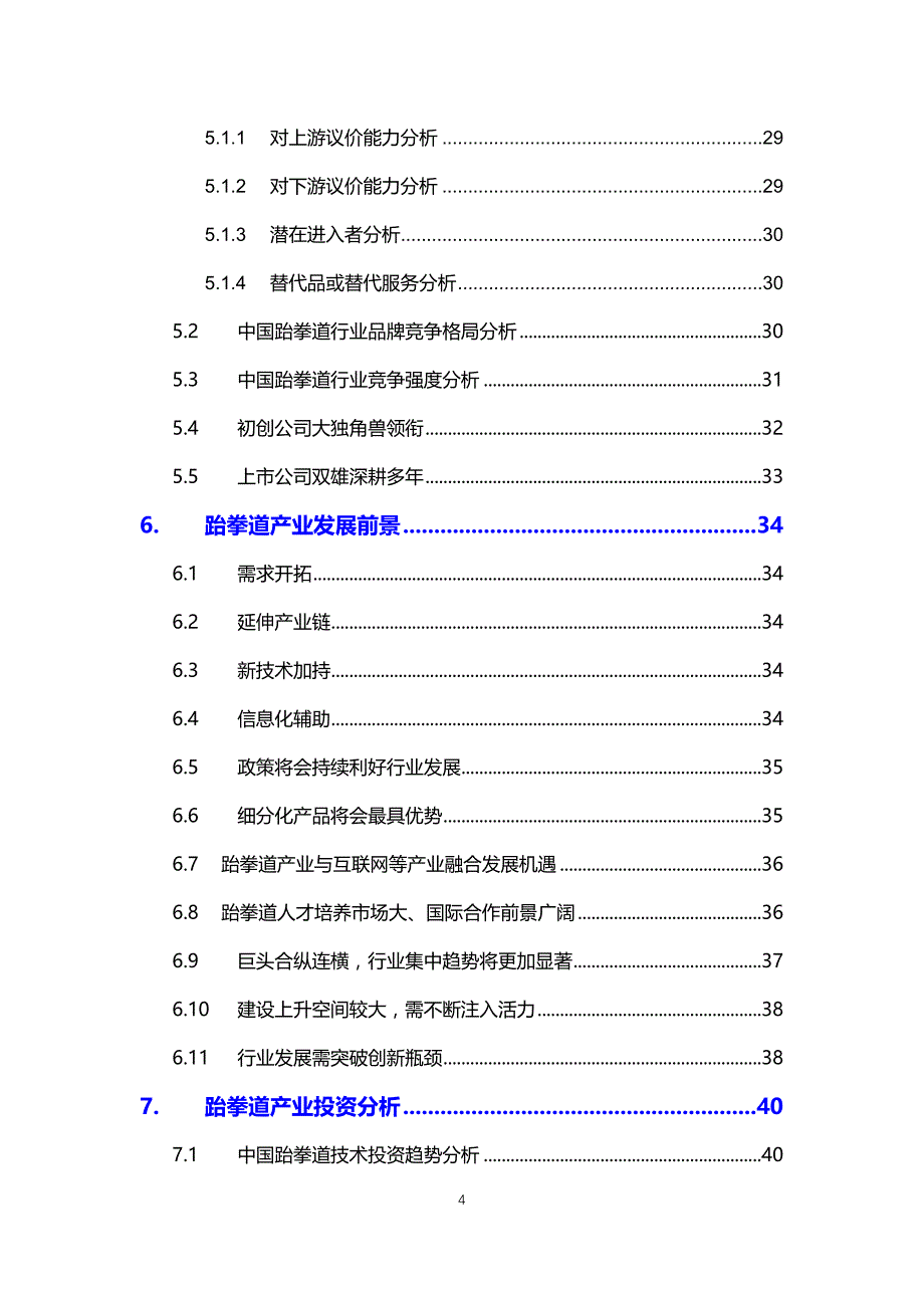 2020跆拳道行业分析调研报告_第4页