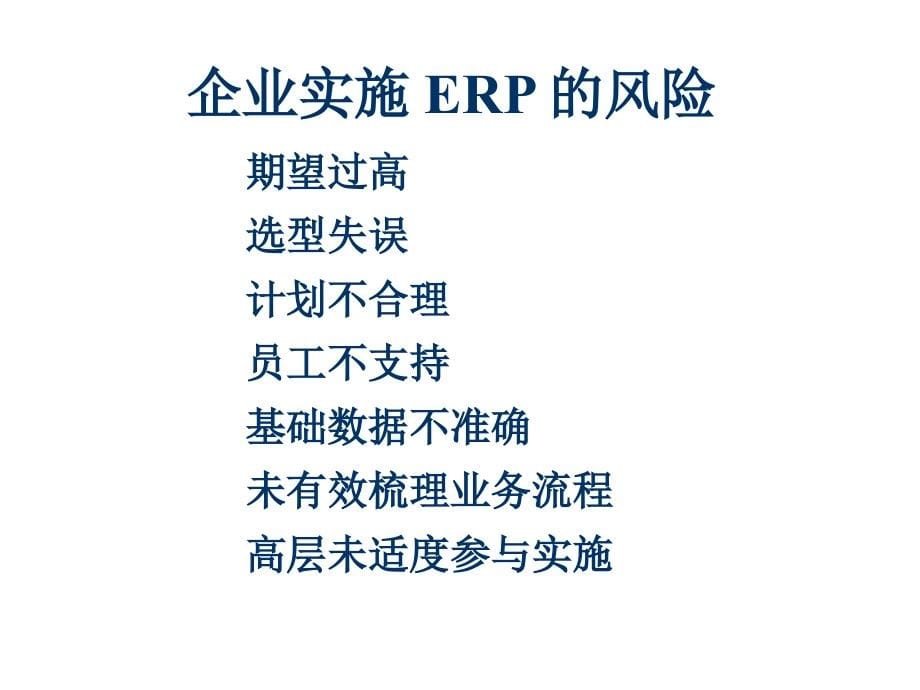 制造业如何成功实施ERP_第5页