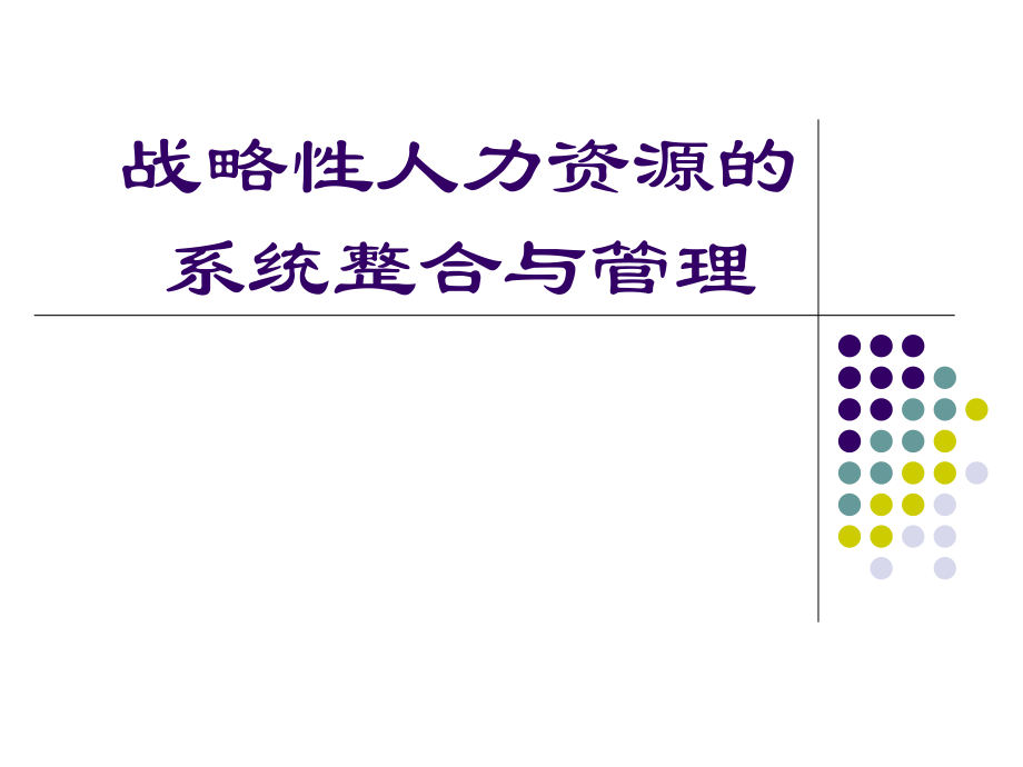 战略性人力资源管理的系统整合与管理_第1页