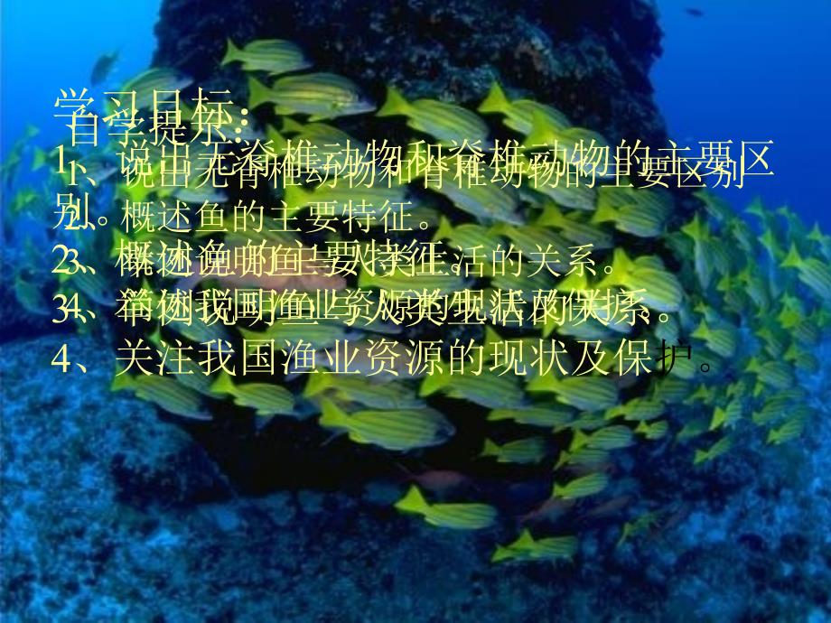 八年级生物上鱼_第2页