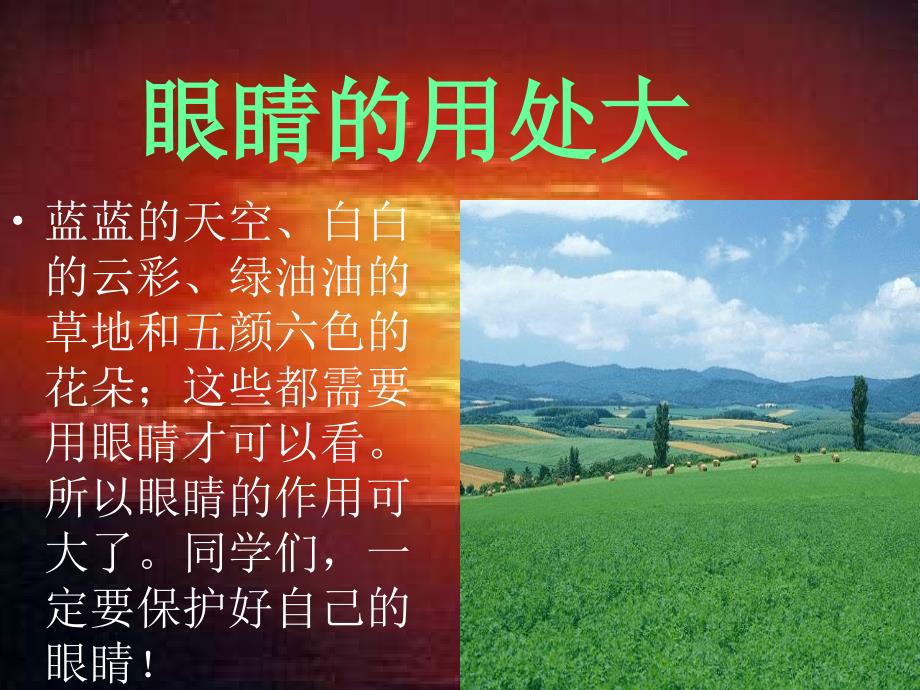 《保护眼睛_预防近视》完整版本_第4页