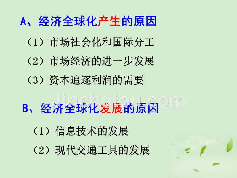 陕西汉中陕飞二中高三政治一轮复习考点19经济全球化与对外开放.ppt_第5页