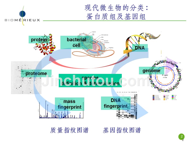 VITEK MS仪器介绍_第2页