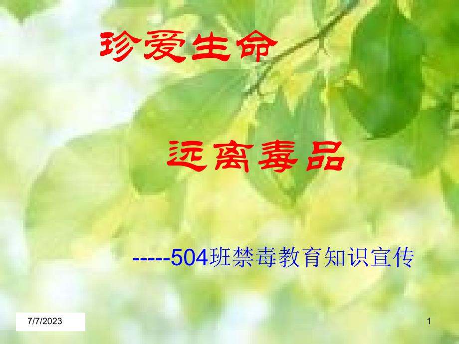 禁毒教育培训课件_第1页