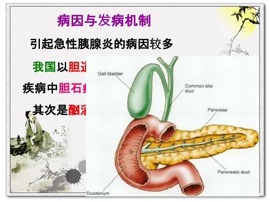 第七节 急性胰腺炎病人的护理_第5页