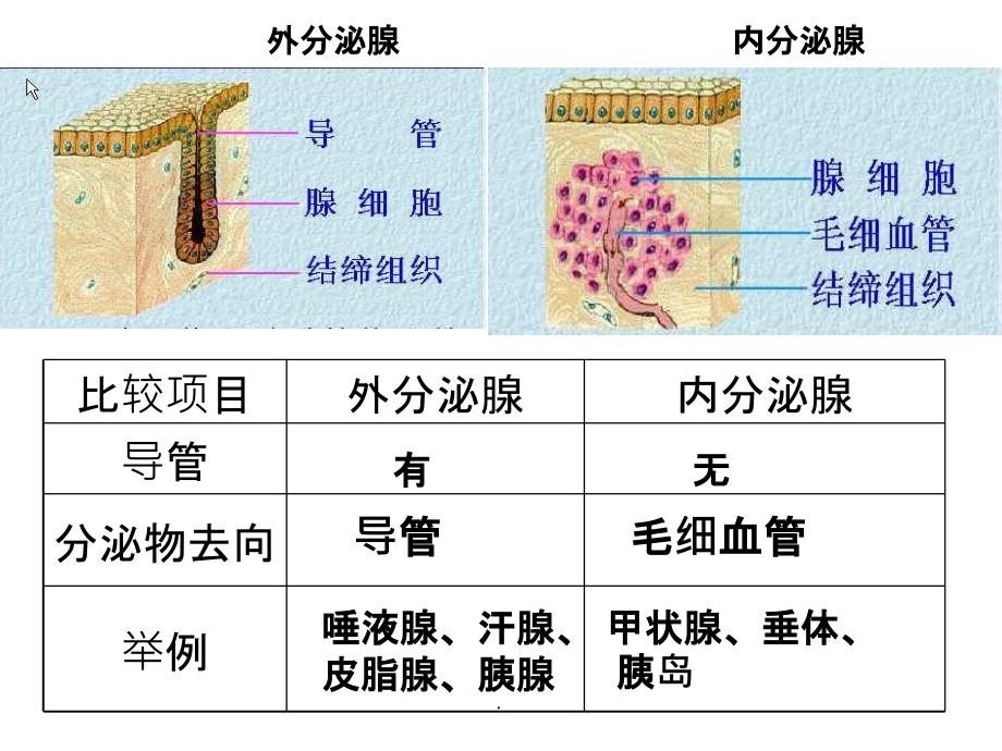 《人体的激素调节》_第4页