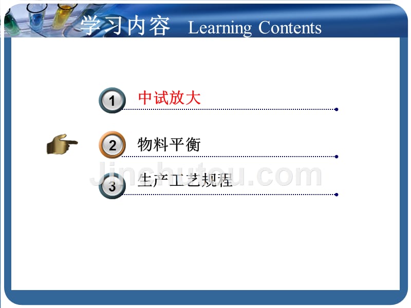 化学制药工艺学-第5章 试放大与生产工艺规程_第2页