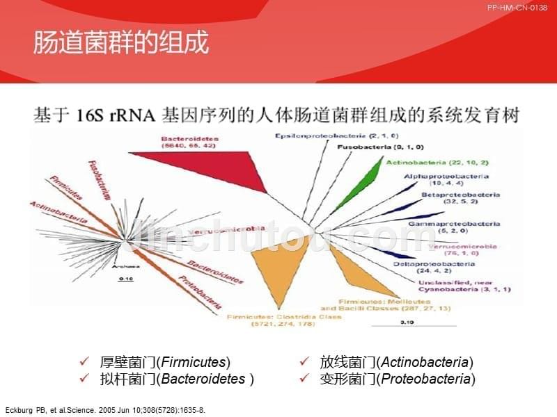 基于肠道检测的益生菌治疗策略知识讲稿_第5页