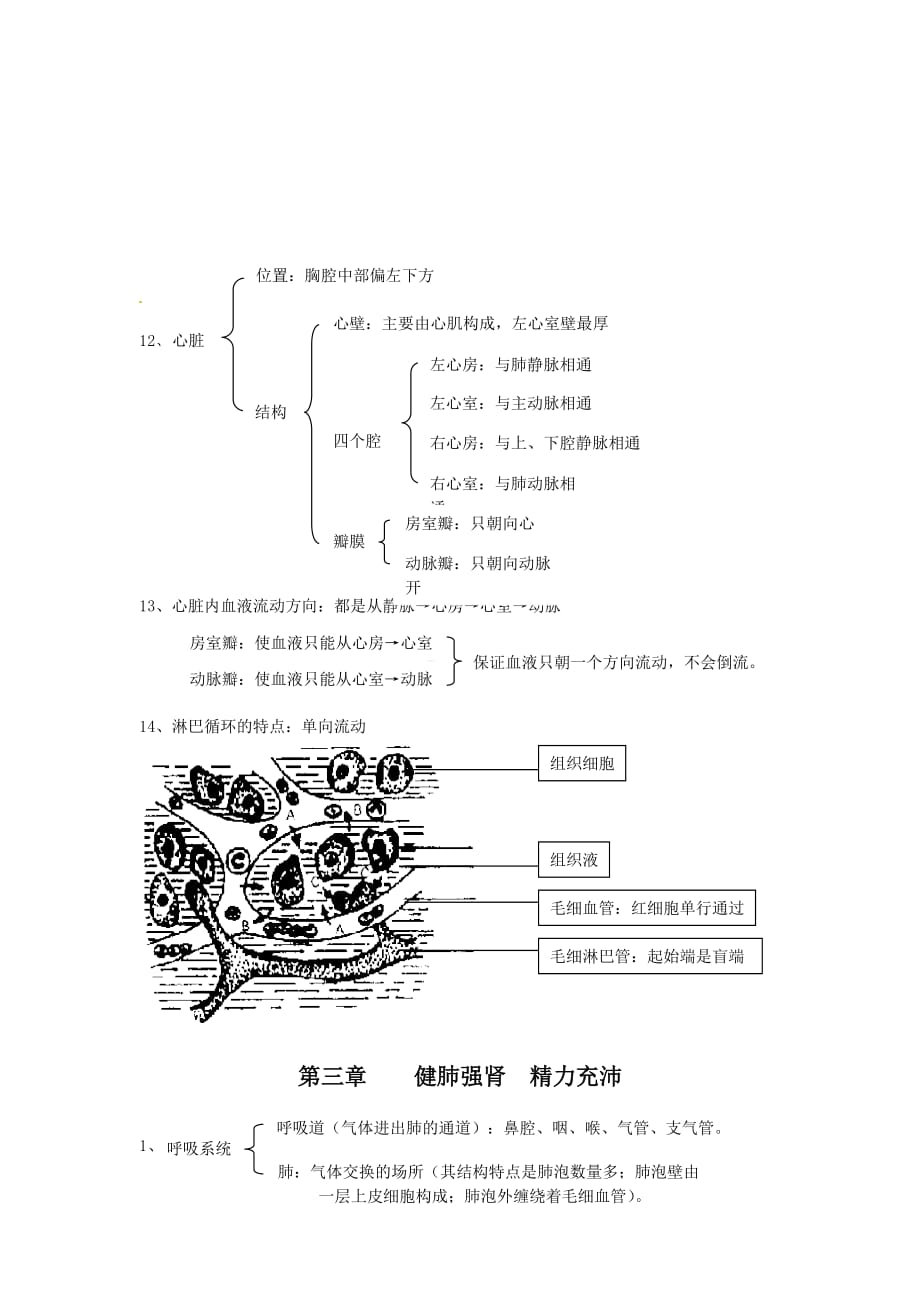 人教版 七年级下生物知识点总结(1-7章)_第4页