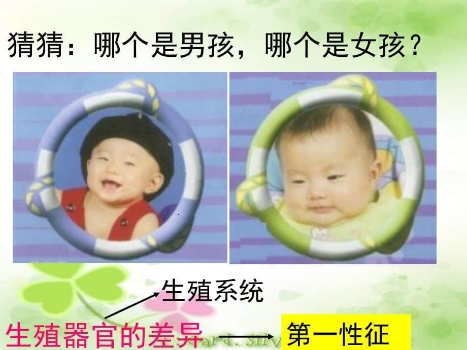 较好的课件-婴儿的诞生1教学文案_第5页