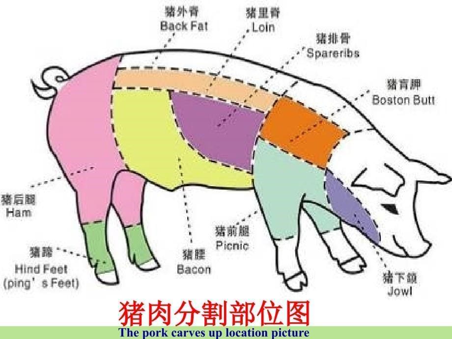 第四章-肉及肉制品厂良好操作规范ppt课件_第5页