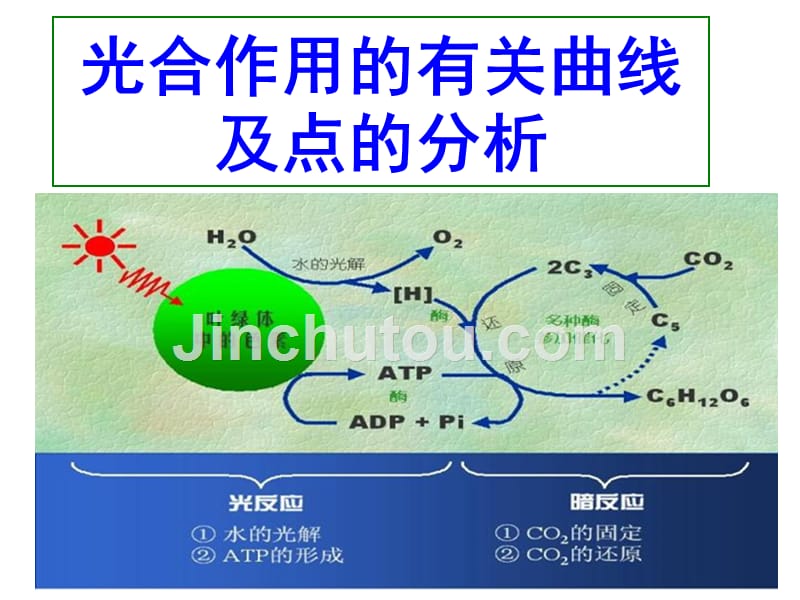 光合作用曲线及点的变化专题备课讲稿_第1页