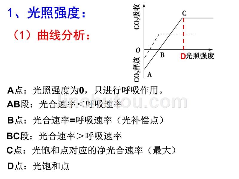 光合作用曲线及点的变化专题备课讲稿_第3页