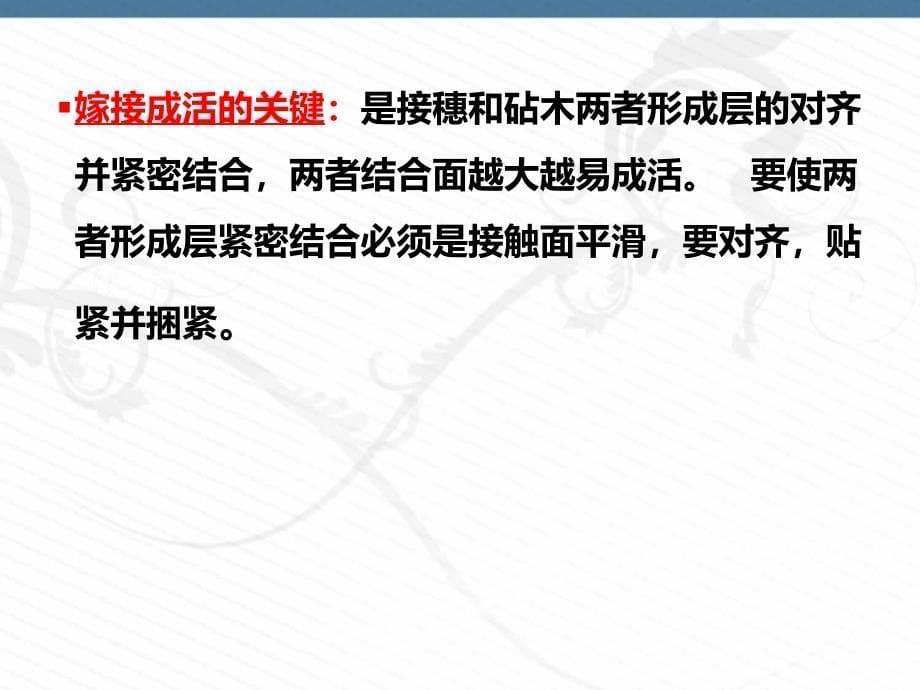 园林树木嫁接关键技术PPT课件_第5页