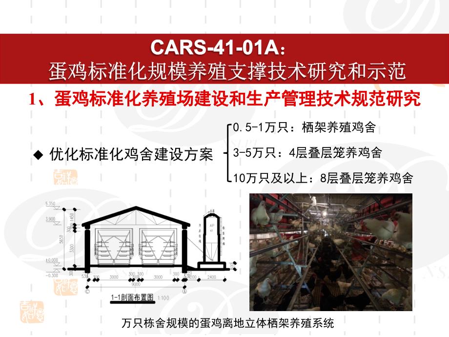 杨宁-蛋鸡产业技术重要进展PPT课件_第2页