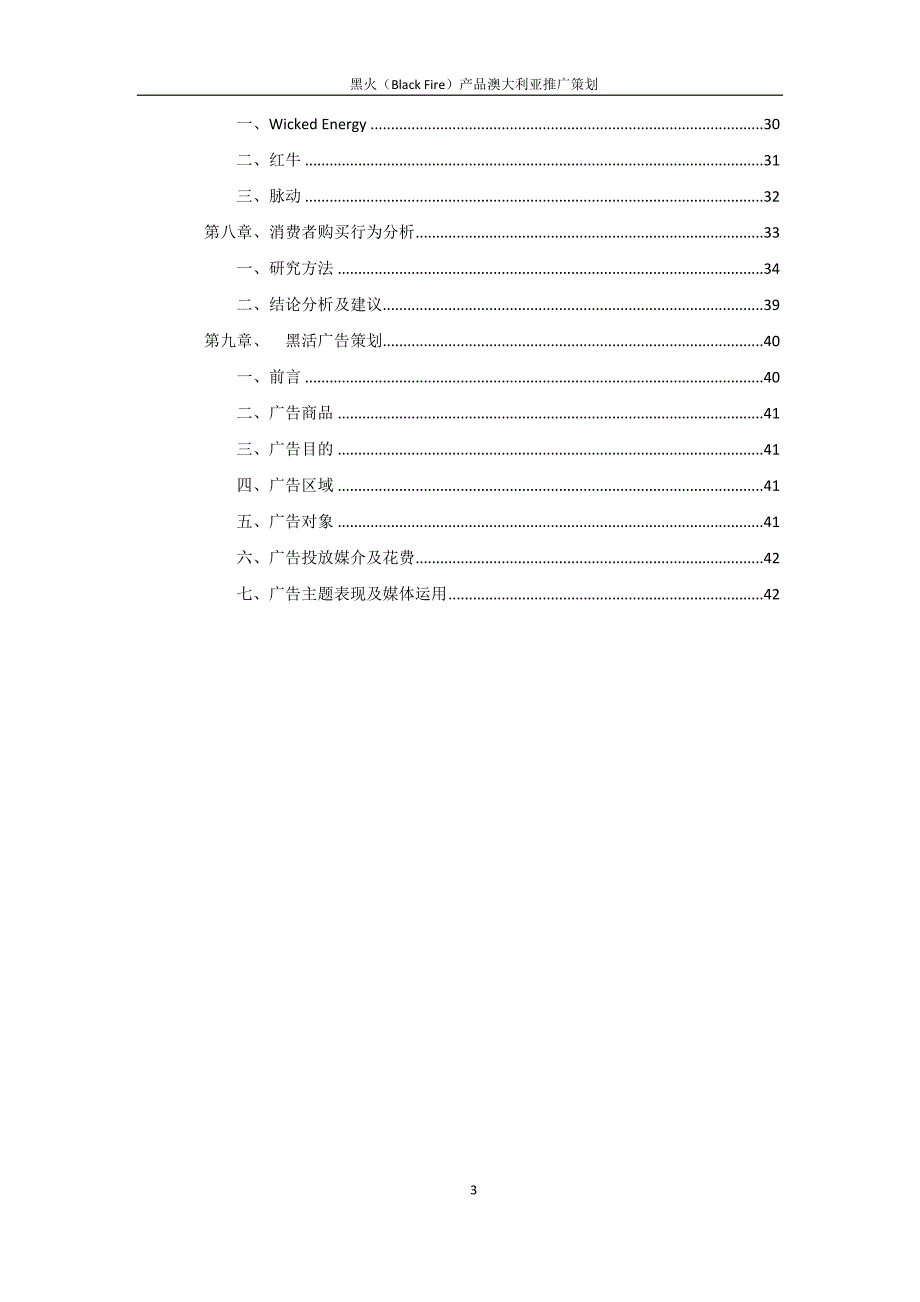 （营销策划）黑火营销策划_第3页