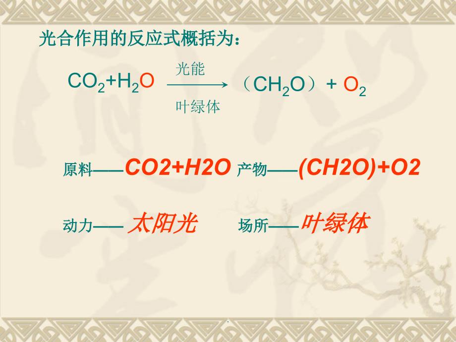 C3植物、C4植物和CAM植物的比较ppt课件_第2页