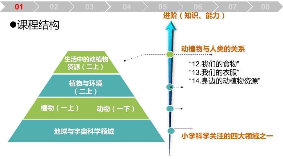 青岛版二年级科学《12.我们的食物》讲课资料_第5页