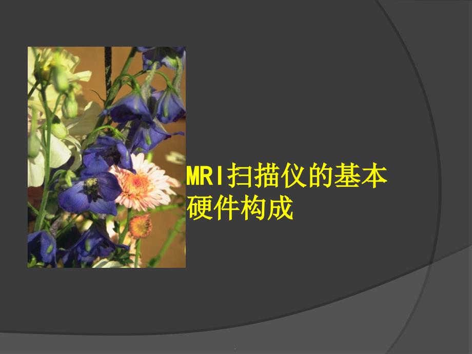 MRI的概述与发展应用ppt课件_第4页