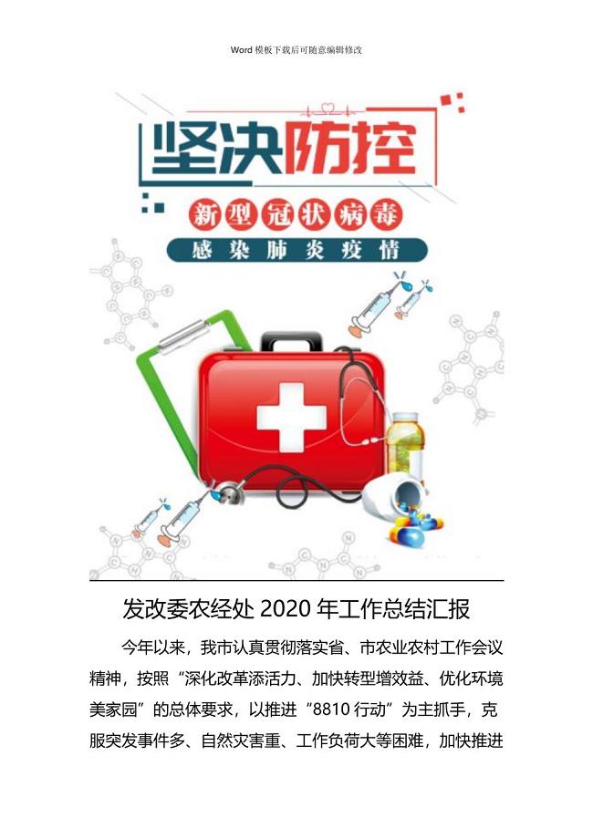 疫情专题发改委农经处2020年工作总结汇报