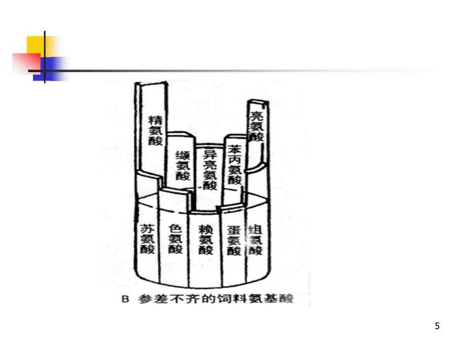 18第十八章 氨基酸1已_第5页