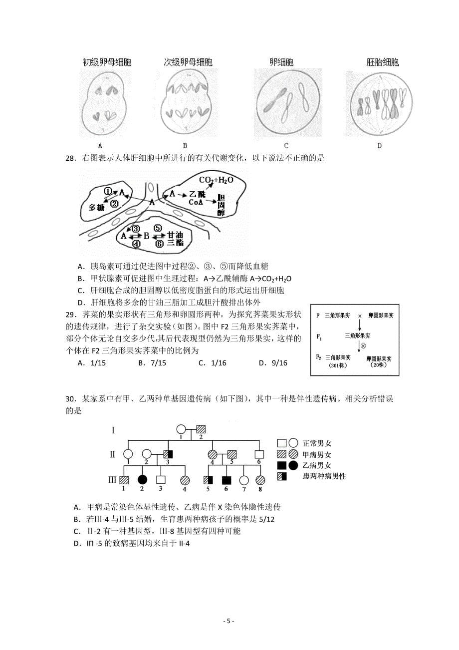 上师大附中2016届高三上学期期中考试生物试卷 Word版无答案_第5页