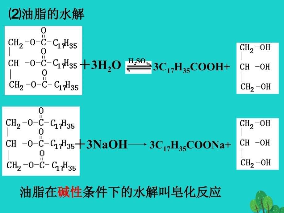 浙江桐乡高三化学油脂复习.ppt_第5页