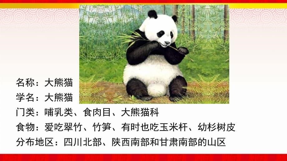 《习作国宝大熊猫》部编版语文三年级下册第七单元课件(5)_第5页