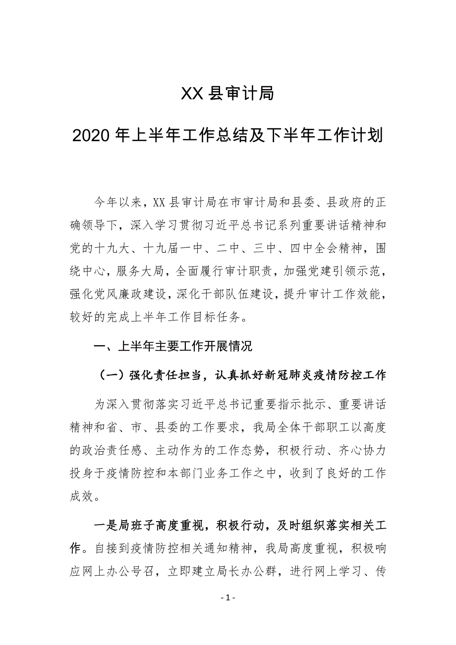 XX县审计局2020年上半年工作总结及下半年工作计划_第1页