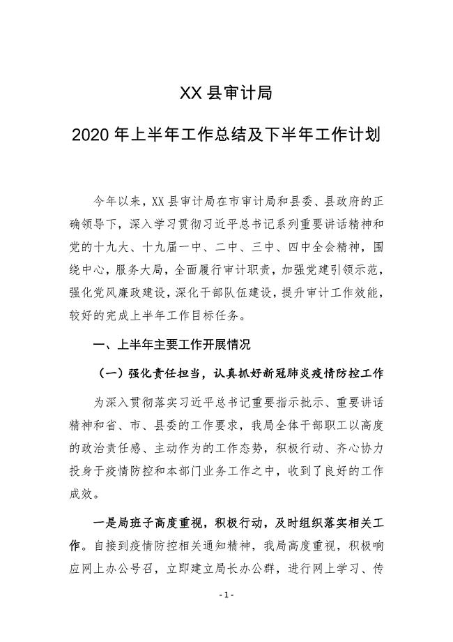 XX县审计局2020年上半年工作总结及下半年工作计划