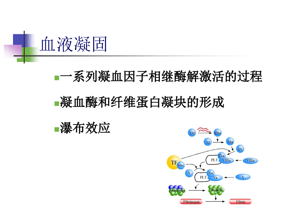 弥散性血管内凝血(DIC)k教案资料_第2页