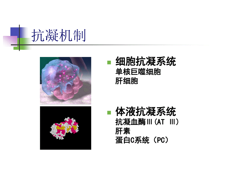 弥散性血管内凝血(DIC)k教案资料_第4页