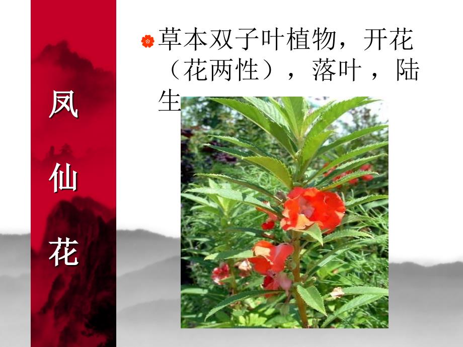 六年级科学上册第四单元多种多样的植物_第4页