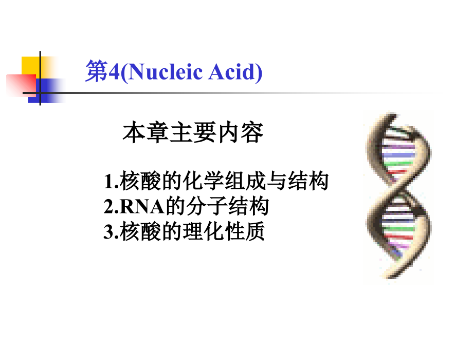 第4章 核酸 考研科目动物生物化学ppt课件_第1页