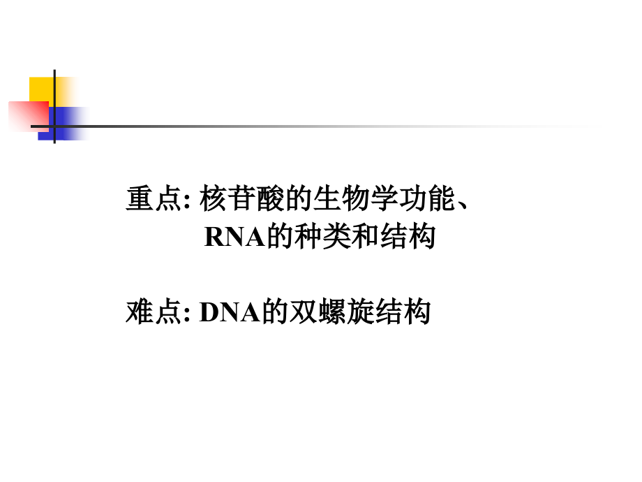 第4章 核酸 考研科目动物生物化学ppt课件_第2页