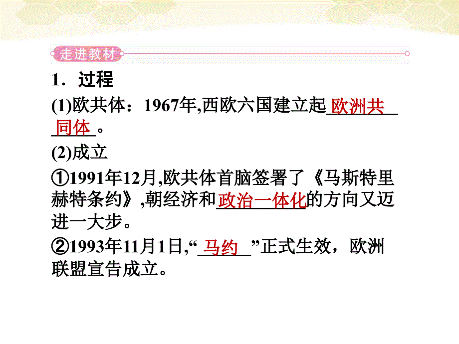 高中历史 8.2 当今世界经济区域集团化的发展 人民必修2.ppt_第4页