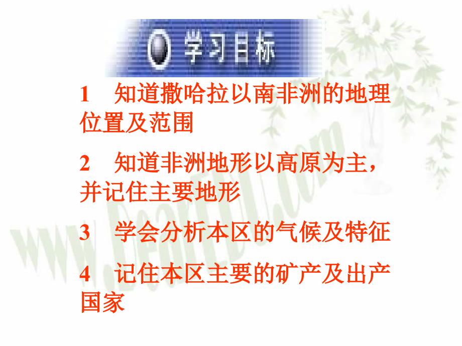 高三地理复习 撒哈拉以南的非洲 .ppt_第2页