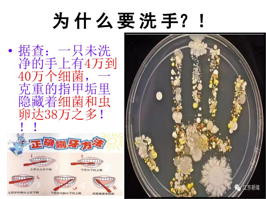 小学生健康卫生知识培训课件_第4页