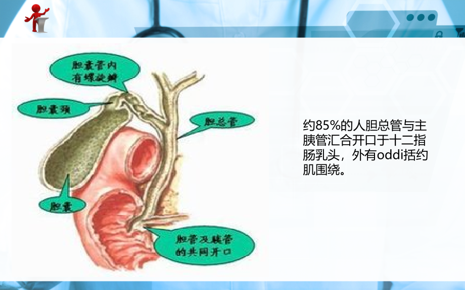 《外科护理_》第十六章_第四节_胆道疾病病人的_护理_第4页