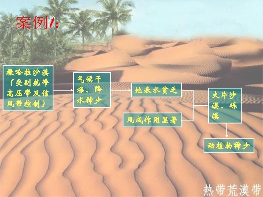 高中地理 32地理环境的整体性和地域分异 中图必修1.ppt_第5页