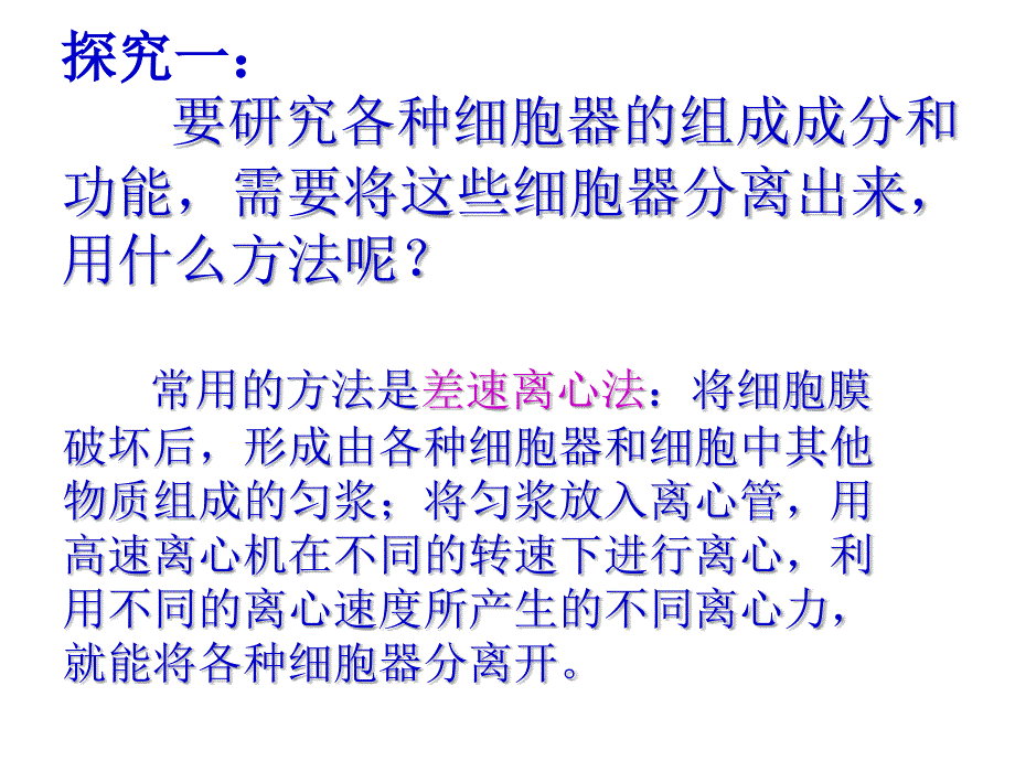 细胞器──系统内的分工合作上课讲义_第2页