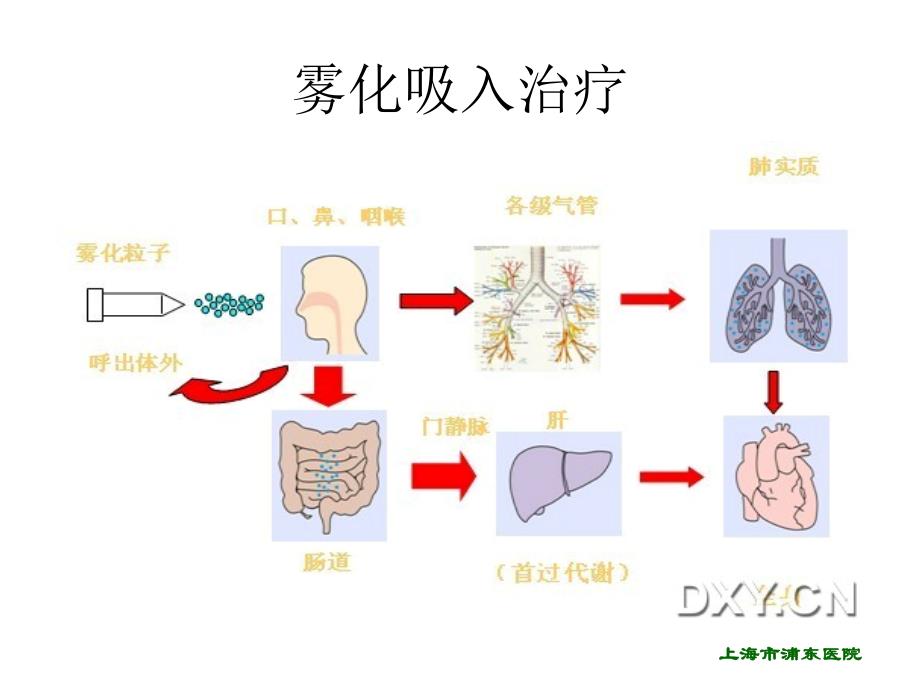 雾化吸入治疗.上课讲义_第4页