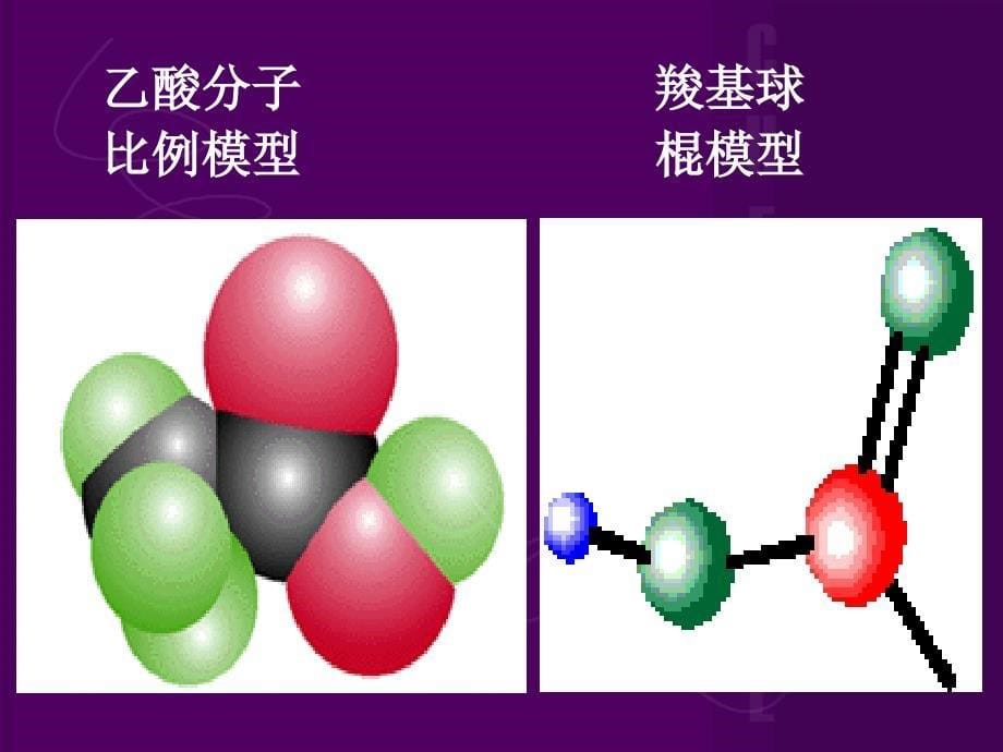 高二化学烃的衍生物之乙酸 酸类 .ppt_第5页