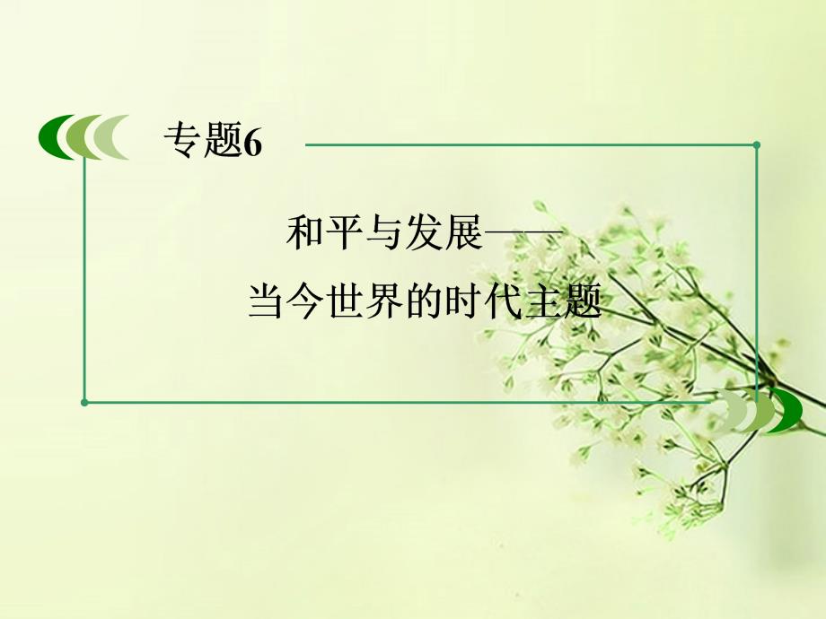 高考历史总复习 36和平与发展当今世界的时代主题 人民选修1.ppt_第3页